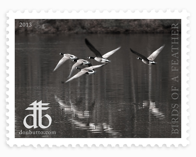 Stamp Series - Birds of a Feather (Geese)
