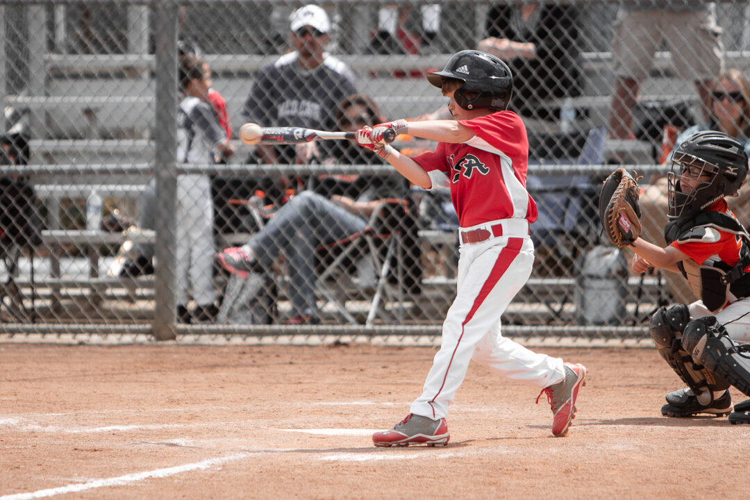 Travel Ball Game