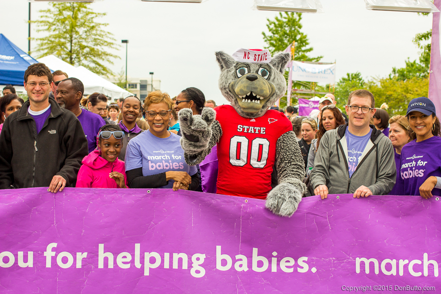 March for Babies - Walk Starting Line
