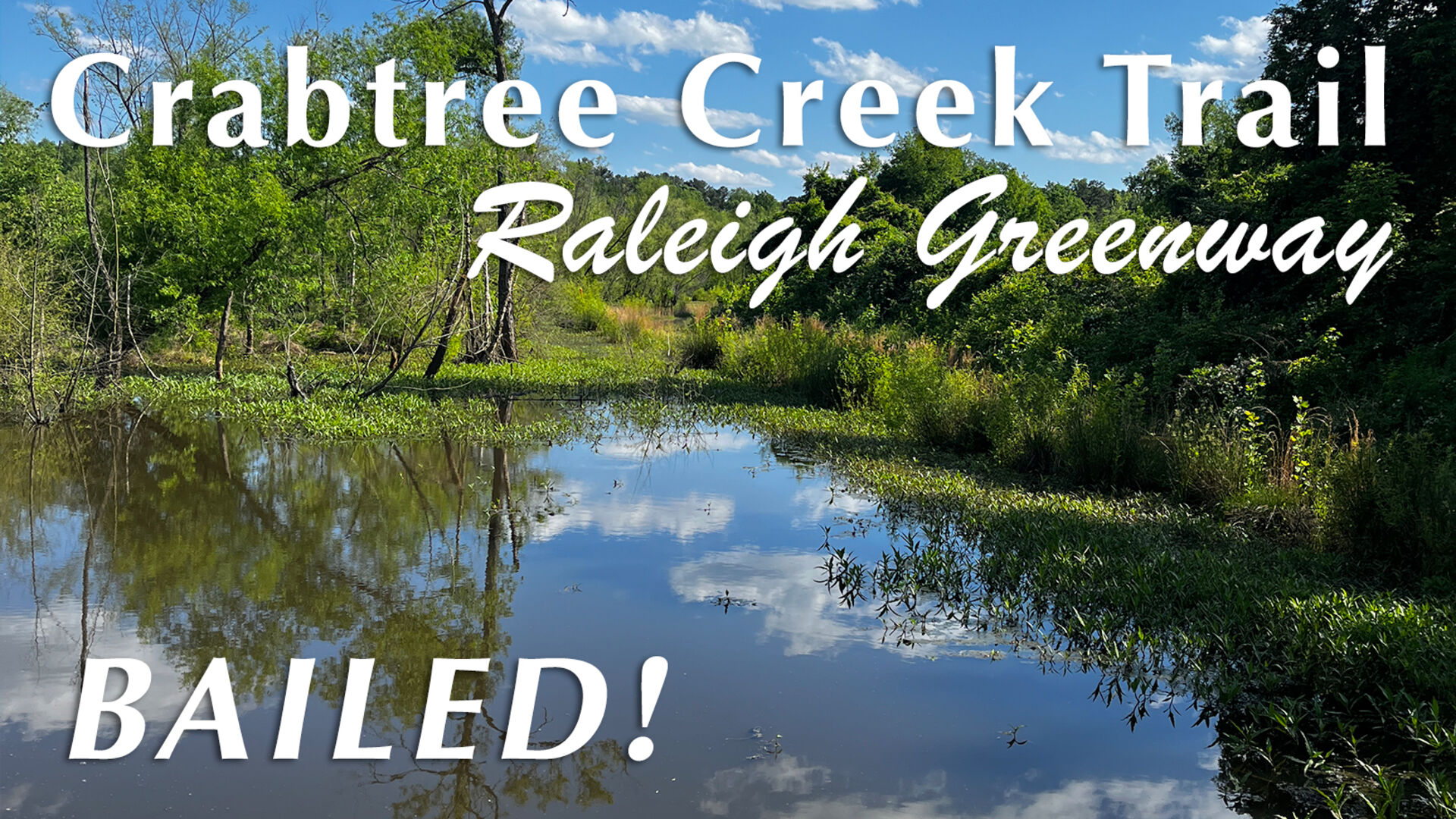 Raleigh Greenway - Crabtree Creek Trail
