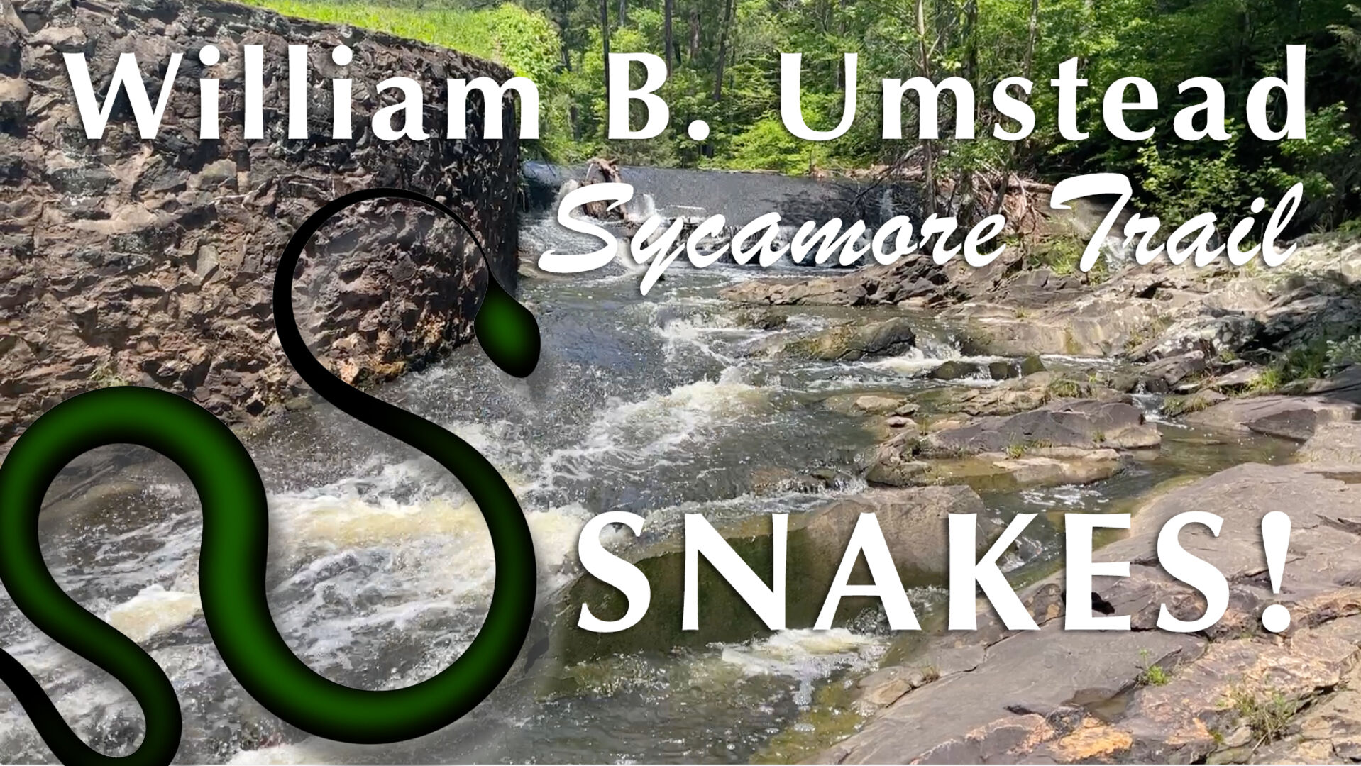 Umstead Park - Sycamore Trail
